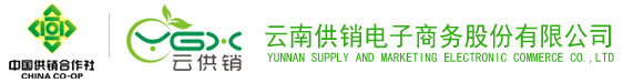 凯发com电子商务股份有限公司